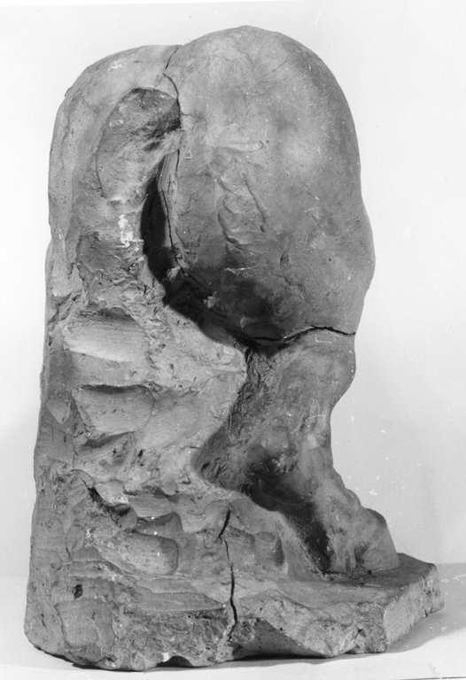 Studio di cavallo (rilievo) by Bernini Gian Lorenzo (sec. XVII) 